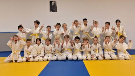 Belo-rumeni in rumeni pasov v judo